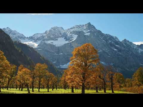 Indian Summer in Austria (Grosser Ahorn 🍁 boden) 
