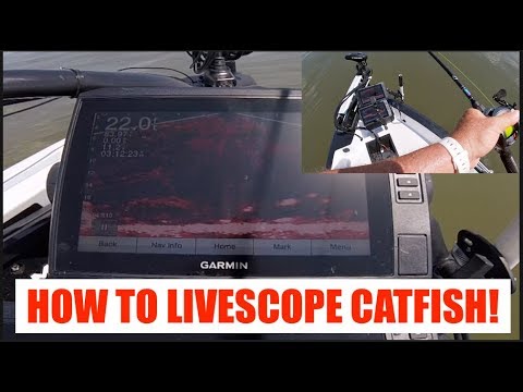 #HowToCatch #Catfish using #GarminLivescope!