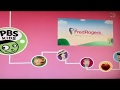 PBS Kids Credits Daniel Tiger Neighborhood 2014