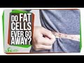 Do Fat Cells Ever Really Go Away?