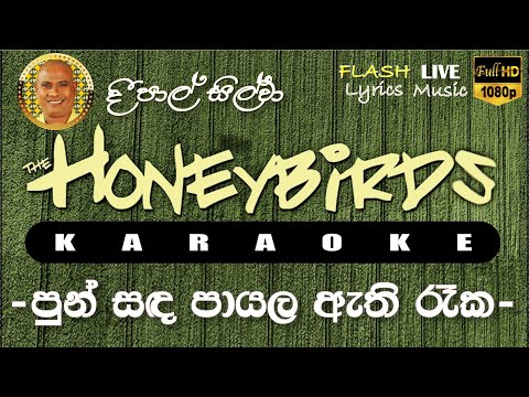 Pun Sada Payala Athi Raka Karaoke (Without Voice) පුන් සඳ පායල ඇති රෑක කැරෝකේ
