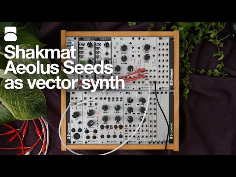 Aeolus Seeds as vector synthesis tool