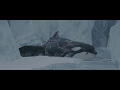 Whale Seal Scene From Eight Below