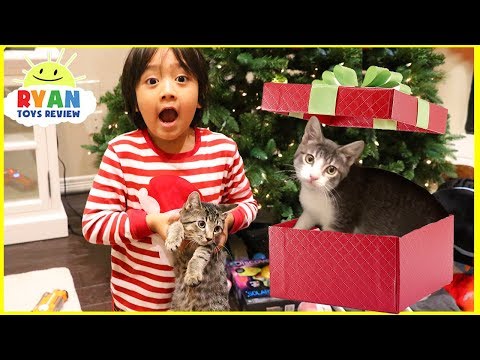 Surprise Ryan with Two Cats for Christmas!