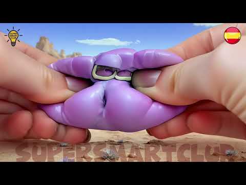 Ultimate Realistic Big & Small Squashed Spanish Alphabet Lore Collection