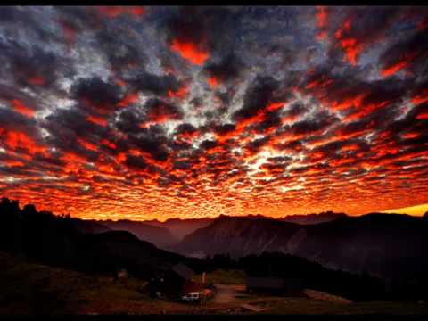 qoop - Track of the week 89