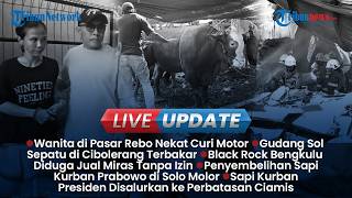LIVE UPDATE SORE: Detik-detik Wanita di Pasar Rebo Curi Motor Warga, Serba-serbi Sapi Kurban Lepas