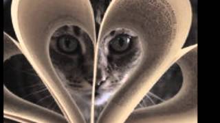 Broken Social Scene- All To All