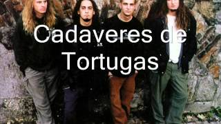 Cadaveres de Tortugas-Street Hunter