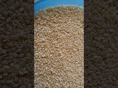 White hulled sesame seeds, 5%, packaging size: 25kg