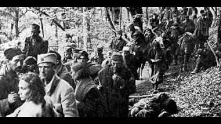 Darko Rundek Ay Carmela-antifafighters