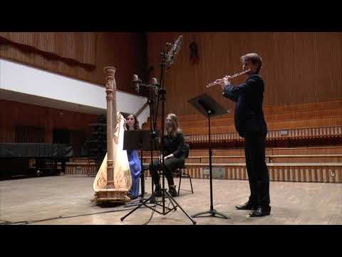 Adrian Shaposhnikov - Sonate for Flute and Harp, Parnas Duo, MAP-IMC 2021