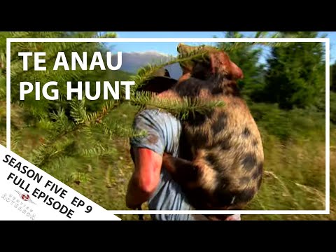 Hunting Aotearoa Series 5 EP09 Pig hunting in Te Anau