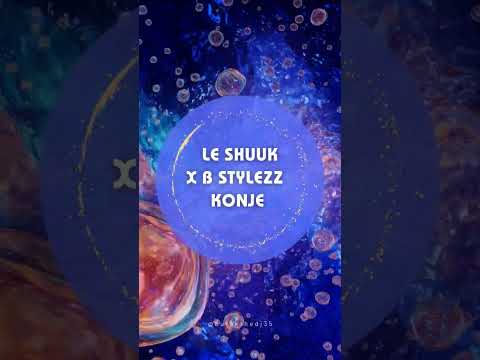 Le Shuuk x B Stylezz Konje