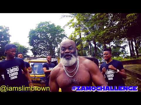 Harry B ft Slim Brown - ZAMO COVER ( official Video )
