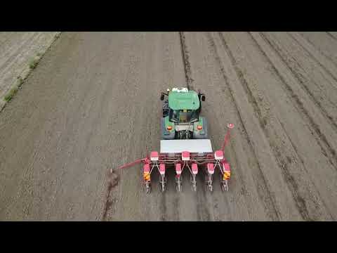 Semina Mais 2025 | John Deere 6120M | Gaspardo Monica 6 File | Isma | Pioneer