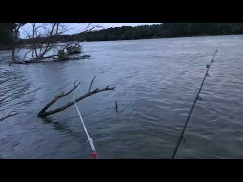 Pescuit pe Sf.Gheorghe,Nufaru