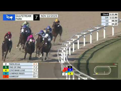 Gulfstream Park November 22, 2025 Race 7