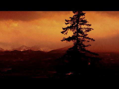 PARANOIA - gdy się pali świat feat. Emkatus, Kartky