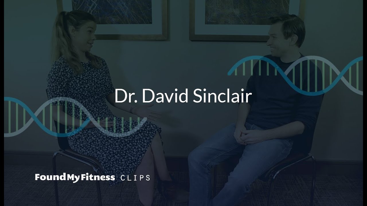 Why we lose NAD+ in aging [DNA repair & inflammation] | David Sinclair
