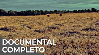 Thumbnail del capítulo