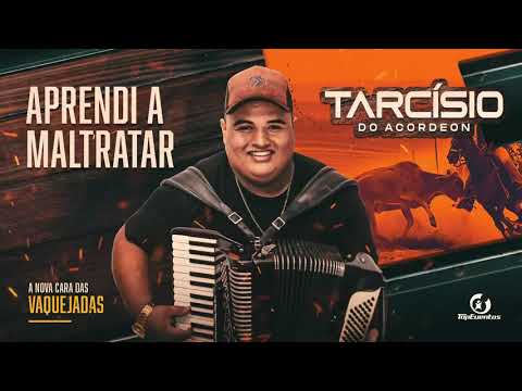 TARCÍSIO DO ACORDEON APRENDI A MALTRATAR