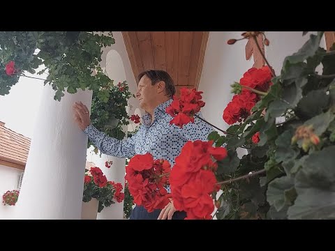 Kaczor Feri :Muskátlis kis ablak