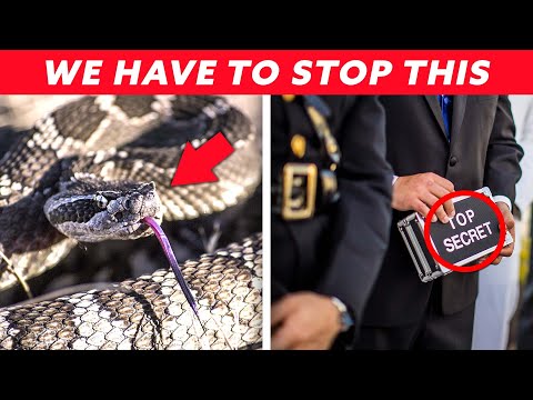 God Showed Me How to Stop the Devil's Strategy - Prophecy | Troy Black