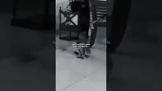 Download lagu status wa viral di tiktok terbaru #storywakekinian #storywakeren #viral #subcribe #jedagjedugviral mp3