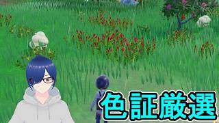 【ポケモンSV】久しぶりにまったり色証厳選雑談