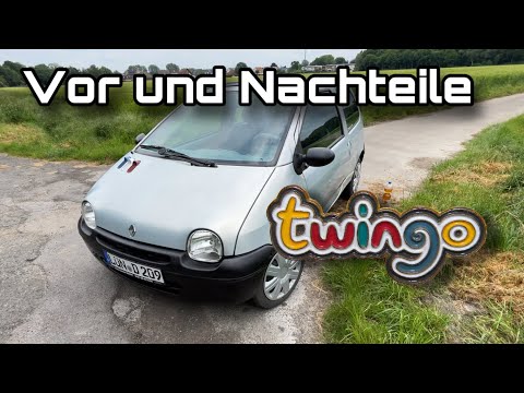 Vor- und Nachteile / 2004 Renault Twingo