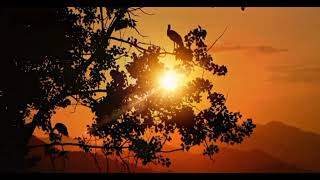 Download lagu SHOLAWAT AL QOLBU MUTAYYAM \\ STORY WA 30 DETIK TERBARU #storywa30detik #sholawatalqolbumutayyam mp3