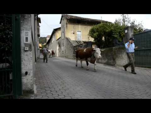 Transumanza di Ritorno 2016