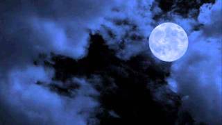 Herbie Hancock   Possibilities   06   Sister Moon Feat  Sting