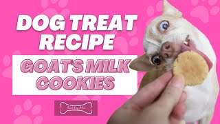 Goat's Milk Coconut Cookies Dog Treat Recipe | Proud Dog Mom
