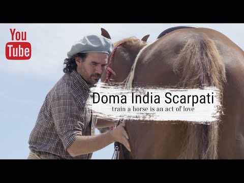 Scarpati Method and Philosophy.