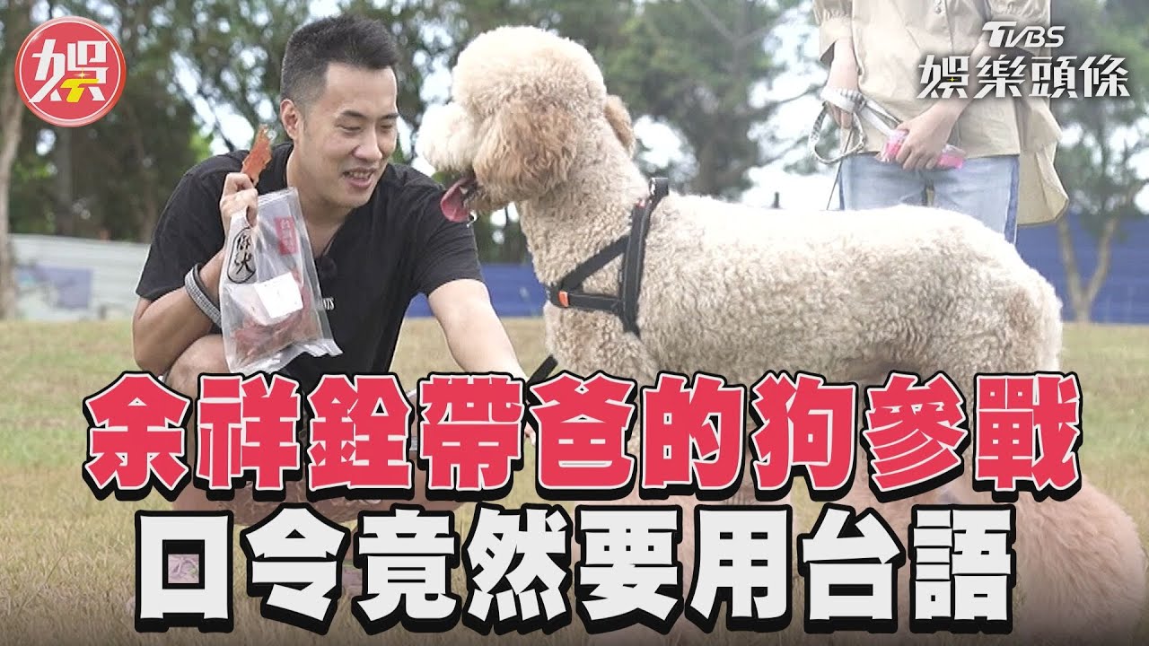 影音/《萌寵》余祥銓帶爸爸的狗參戰 一般口令叫不動竟要用台語對話