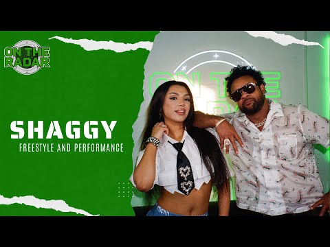 The Shaggy "On The Radar" Freestyle + "MOVE" Live Performance Feat. Lavbbe