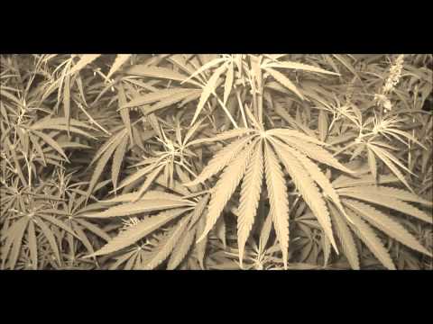 CRIONE ~ FUMALE  Sky studio