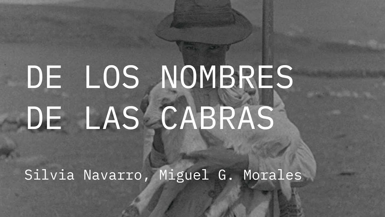 Competição Internacional 2019 | Trailer | De los Nombres de las Cabras