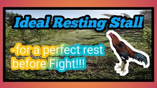 Ideal Resting Stall for Gamefowl for a Perfect Rest Before Fight!!!