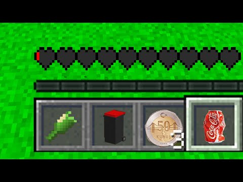 1000$ EVSİZ - Minecraft