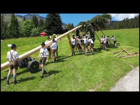 Traditionelles Maibaumaufstellen der Brauchtumsgruppe St.koloman  | Grundlbichlalm | Baumfällung