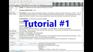 rScriptor Tutorial #1: Basic rScriptor Use