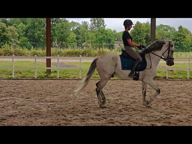 PRE PP entier 11 ans &ndash; Tr&egrave;s bon mental, polyvalent, 9 9