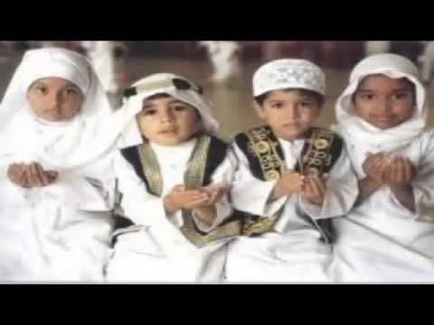 Enes Julardžija   Vrste širka   2014