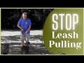 Stop Leash Pulling in 5 MINUTES
