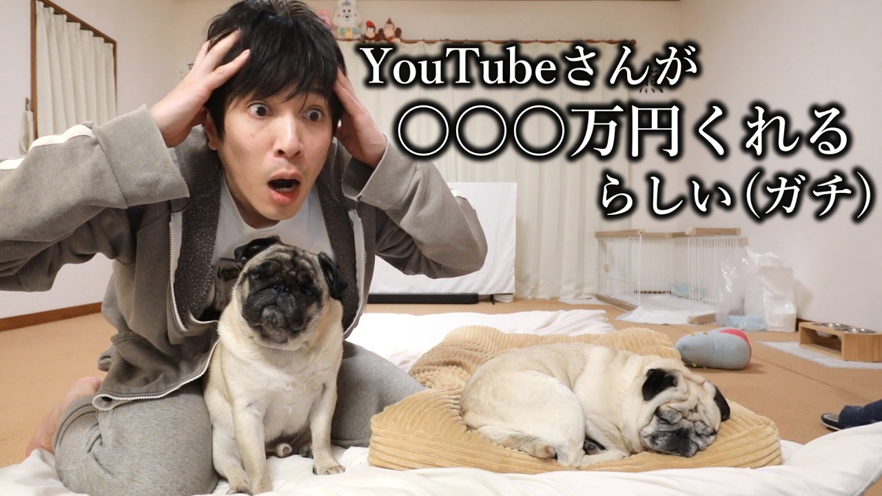【生配信】雑談→うまい棒ランキング決めます→トモコレ体験版やります