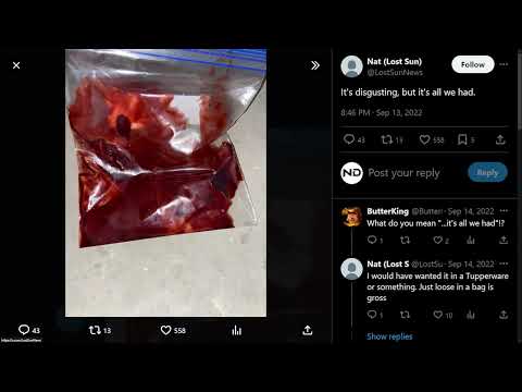 The Sun Vanished Part Three - Scary Twitter Story