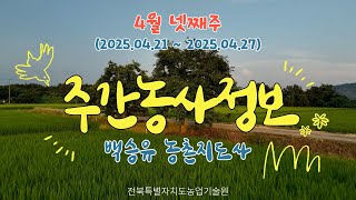 ✨[ 주간농사정보 ] 4월 4째주 (2025. 04. 21. ~ 04. 27.)